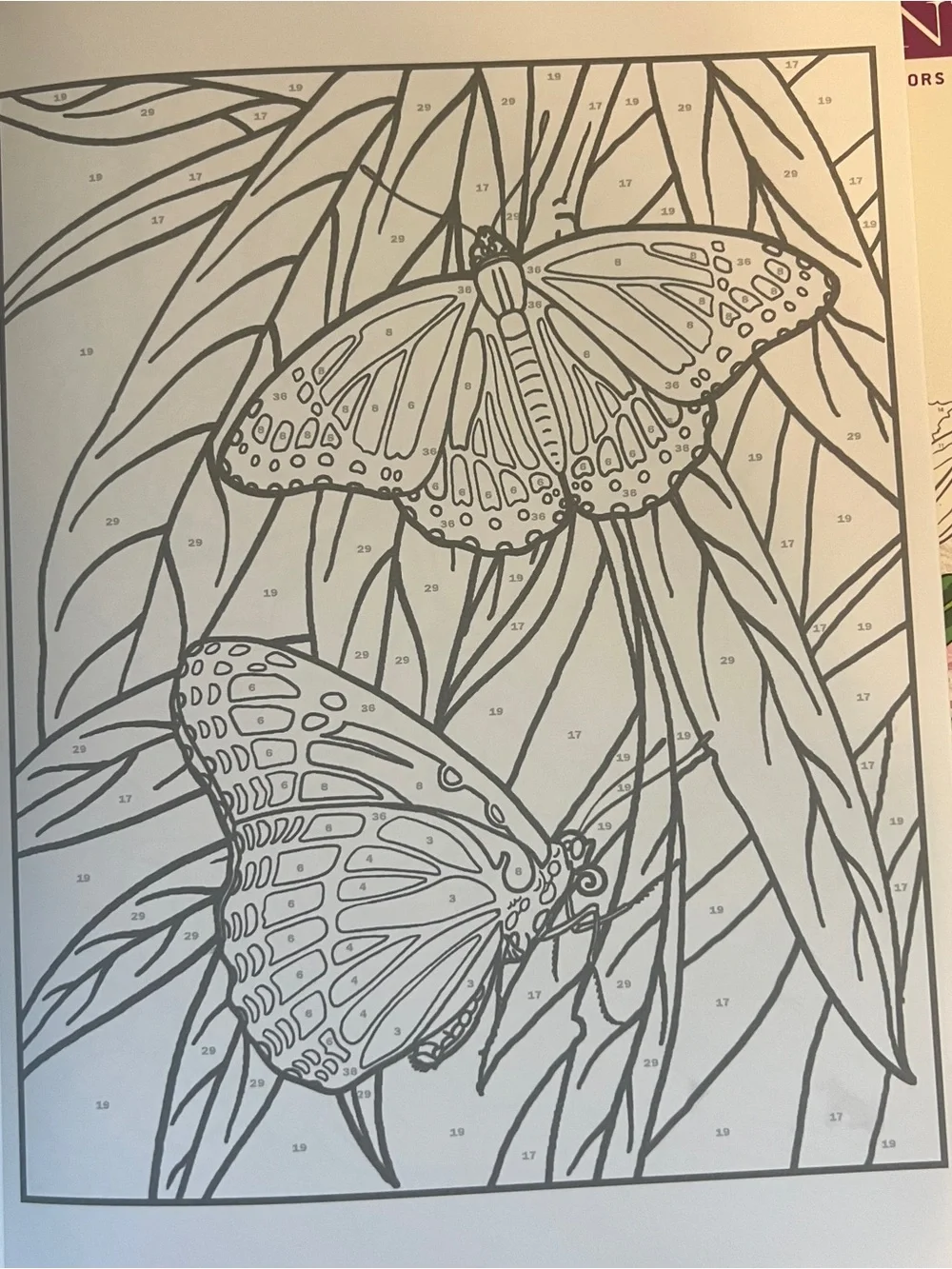 Adult Coloring Books Flowers Butterflies Birds Garden